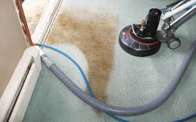 commercial carpet dry cleaning Goolman