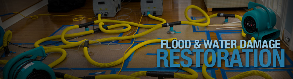 lotus water damage cleaning services Concord West