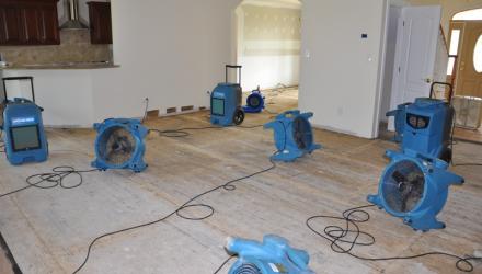 water damage restoration Point Piper