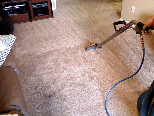residential carpet dry cleaning Melbourne