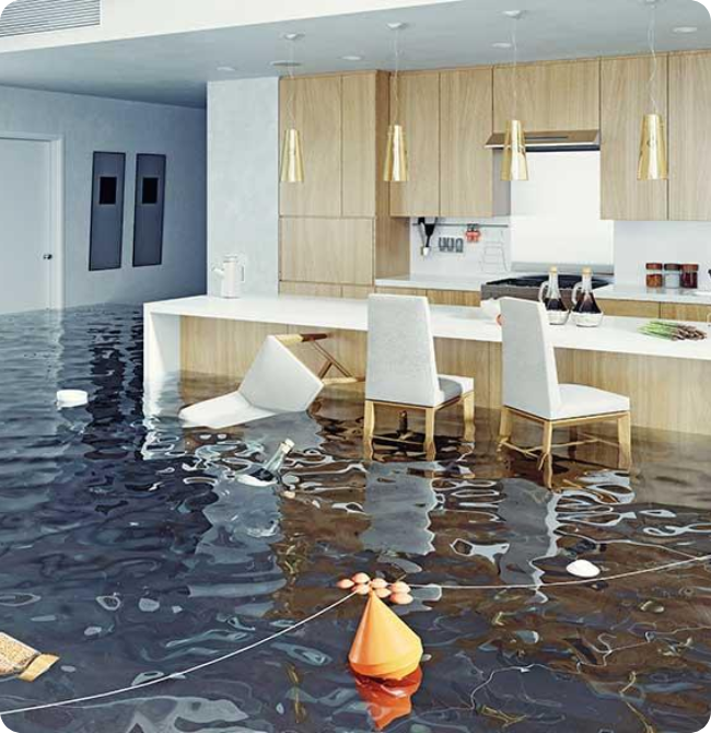 Flood Water Damage Cleaning