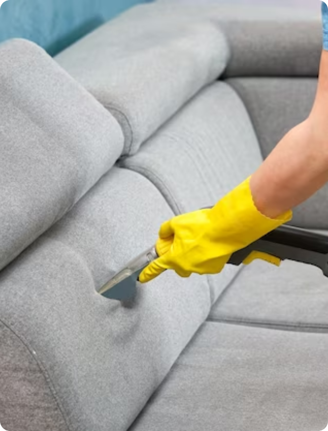 Upholstery Cleaning Services