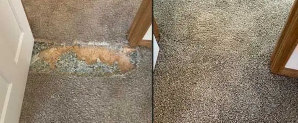 Carpet Repair