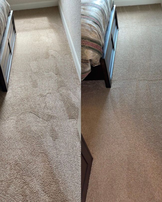 Comprehensive Carpet Cleaning